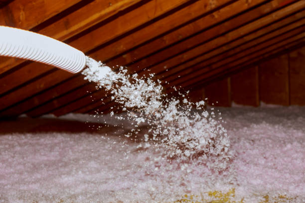 Best Types of Insulation in Palacios, TX