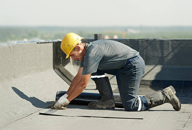 Best Residential Insulation in Palacios, TX