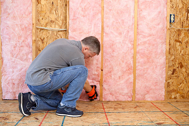 Best Insulation Maintenance and Repair in Palacios, TX